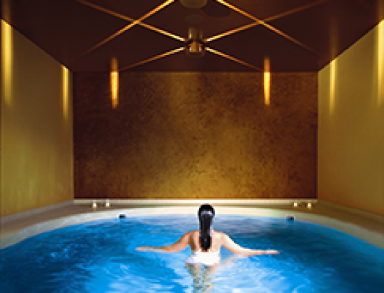 Elysia Wellness Retreat