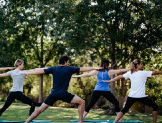 Elysia Wellness Retreat
