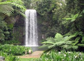 health retreats qld
