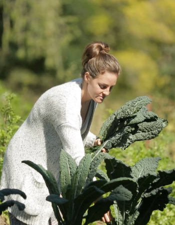 Belly, Mind & Soul: Gut Health, Wellness, Yoga Weekend