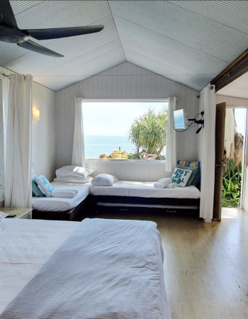 Breath, Body and Brain Retreat