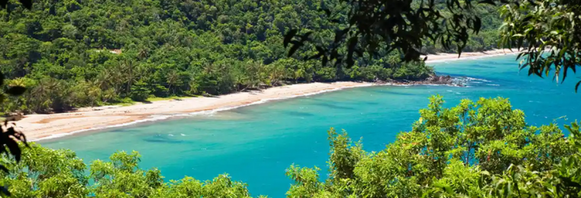 Pilates Nature Retreat