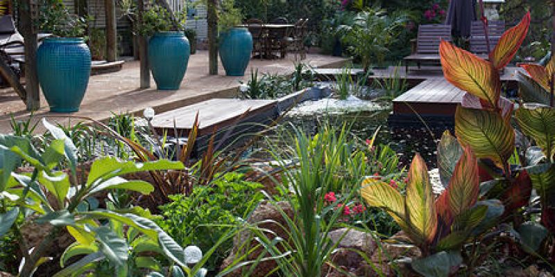 Nature’s Paradise Health Retreat and Spa